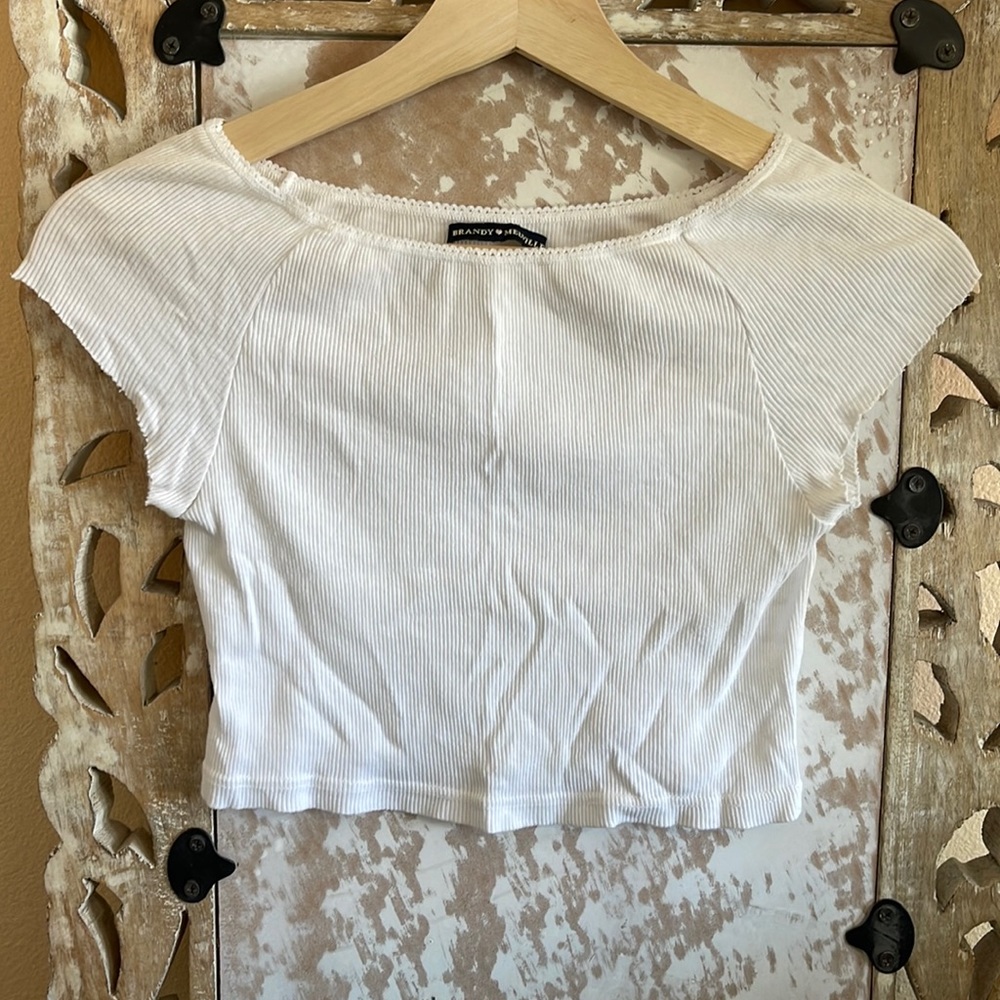 Brandy Melville Crop Top